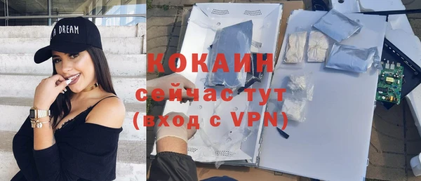 крисы Аркадак
