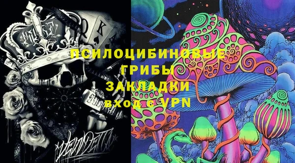 крисы Аркадак