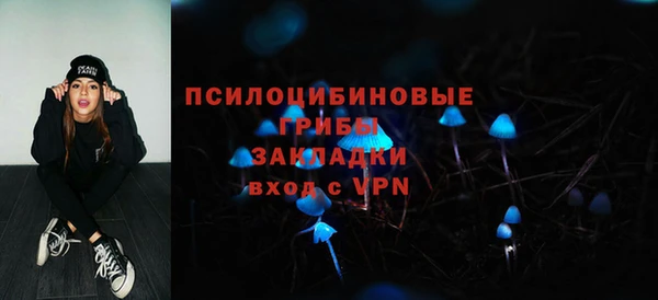 соль ск Киреевск