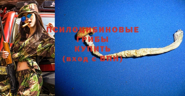 крисы Аркадак