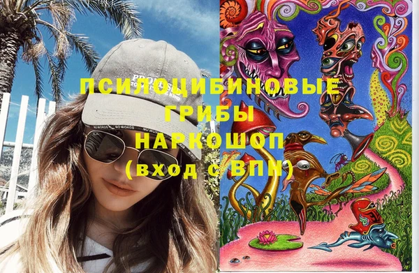 мдпв Осташков