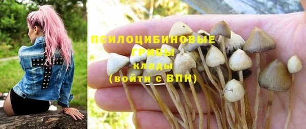 mdpv Армянск